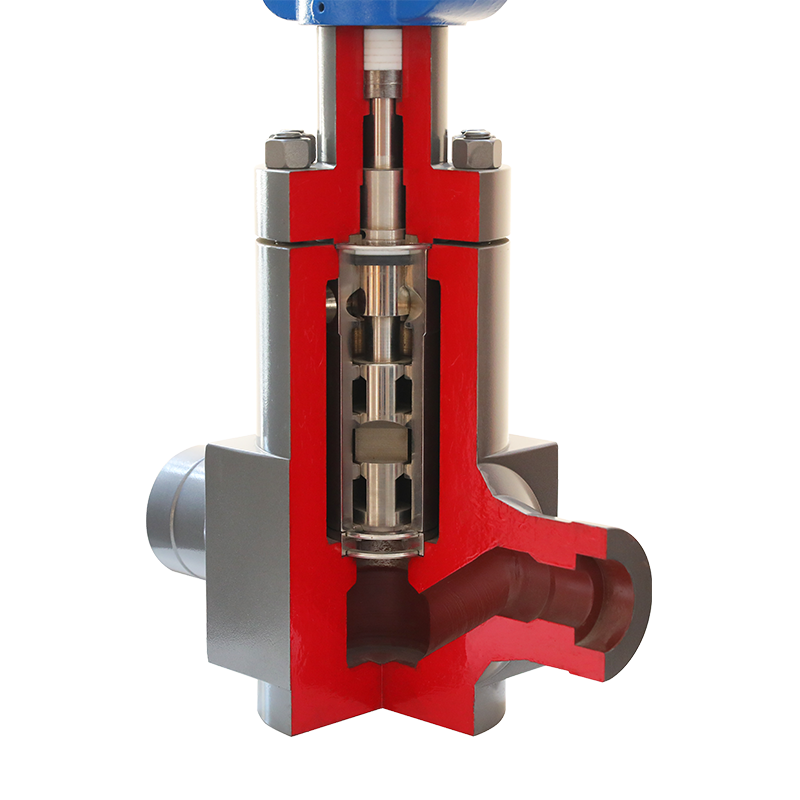 BR.W61D সিরিজ Multistage depressurization একক আসন নিয়ন্ত্রণ ভালভ